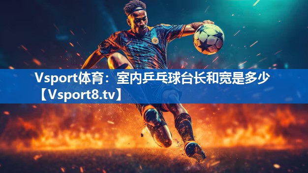Vsport体育：室内乒乓球台长和宽是多少